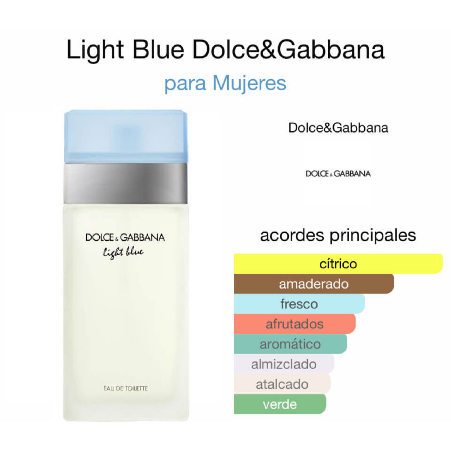 Light Blue Dolce & Gabbana