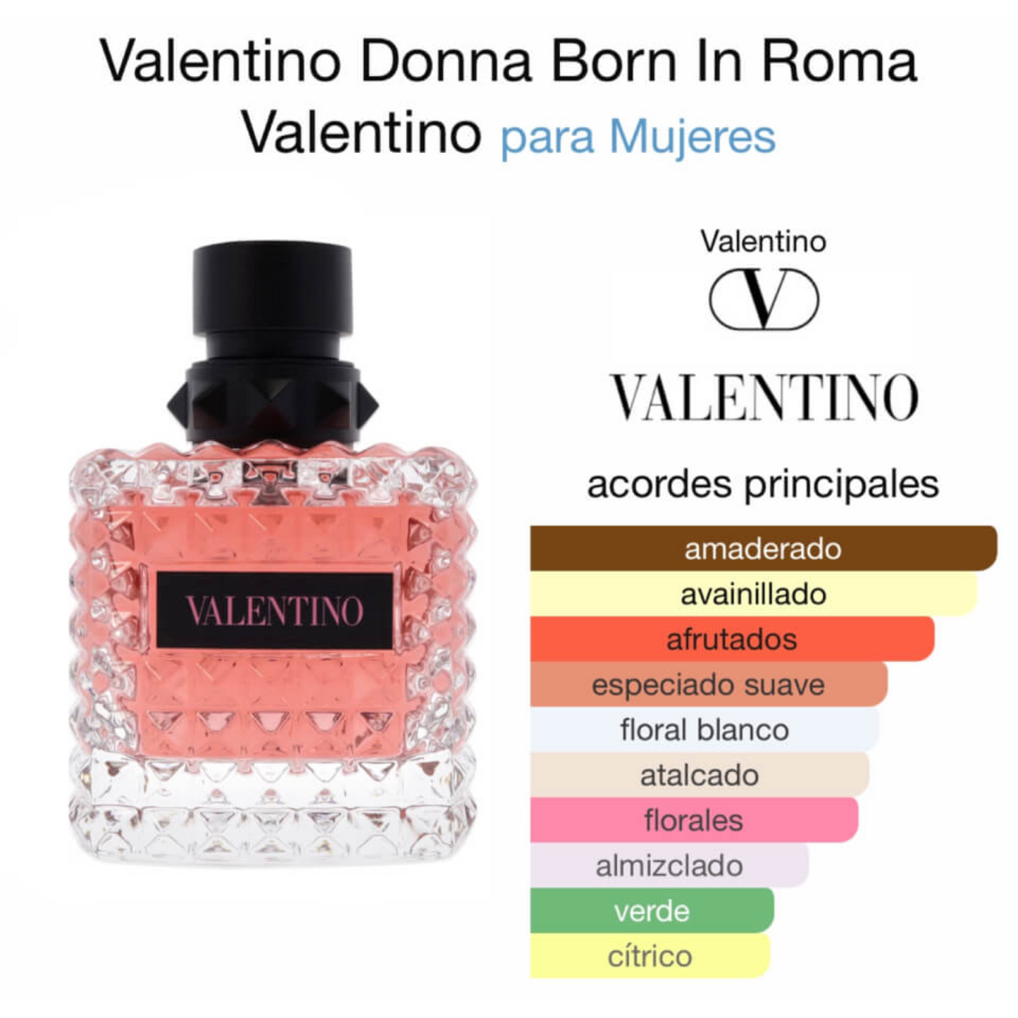 Donna Born in Roma Valentino - EDP